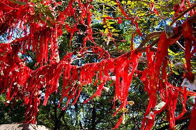 港服11月PS+二档＆三档会员新入库游戏：《上古卷轴5》等